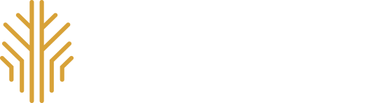 Branches Idea - Working together to develop brands in KSA
